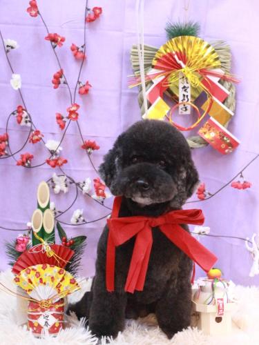 20230121クロちゃん